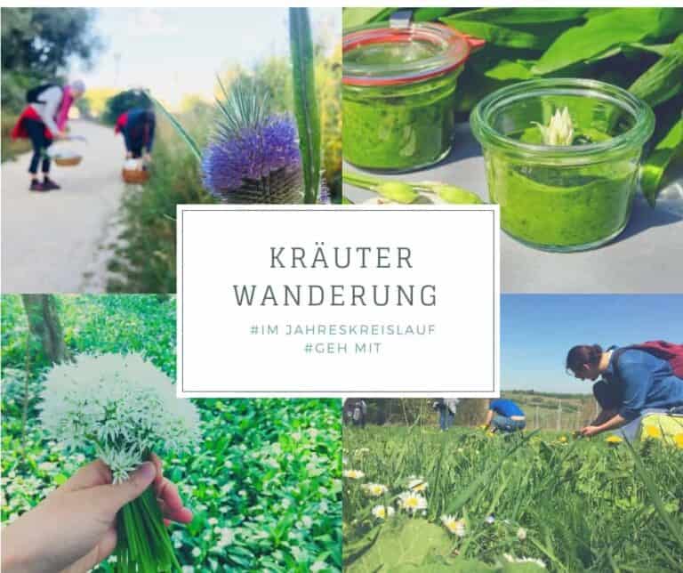 Kräuterwanderung in Niederösterreich wild.wuchs.NaturAkademie
