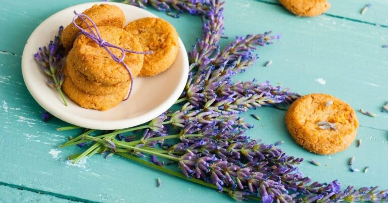 Lavendel-Kekse