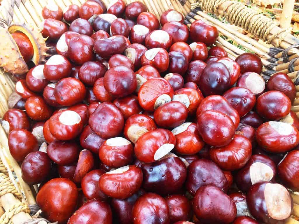 12 tolle Anwendungen mit Kastanie