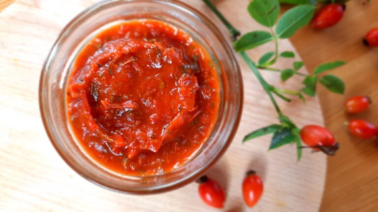 Hagebutten Ketchup