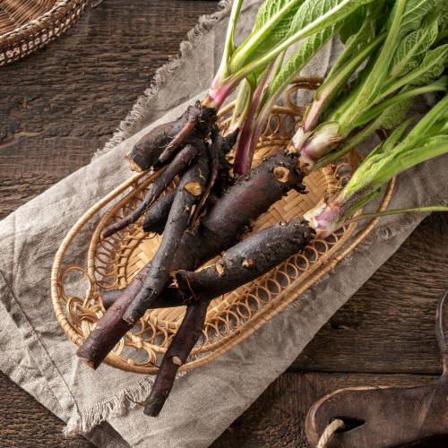 Meine Top 7 Wurzelkräuter